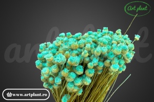 Happy flower turquoise(G) - Img 2