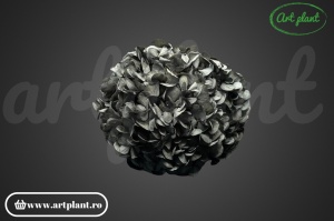 Hortensie Criogenata Gri Antracit Bla02 XL - Img 2