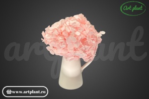 Hortensie Criogenata Roz Pal Pin99 XL - Img 1