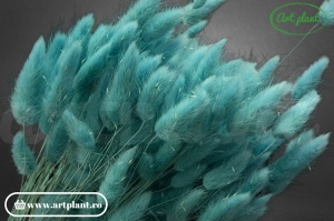 Lagurus blue-turquoise
