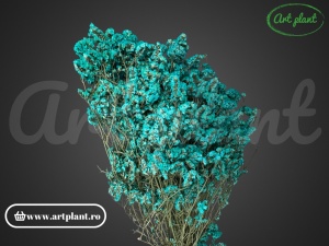 Limonium stabilizat sinensis turquiose