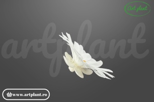 margarete criogenate albe flori stabilizate pentru aranjamente florale