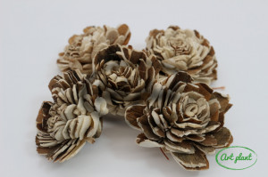 Ming natur /maro 6 cm , 5 buc - Img 2