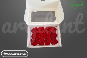 Mini Rose Romantic stabilizate Rosu din Ecuador, Ø 4–5 cm • Înălțime 2–2.3 cm, 12 buc