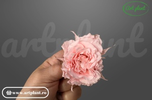 mini rose romantic stabilizate roz deschis pentru aranjamente florale