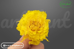mini rose romantic stabilizate sunny yellow flori luminoase pentru decor