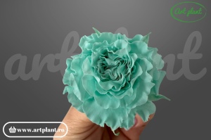 Mini Rose Romantic stabilizate Touss