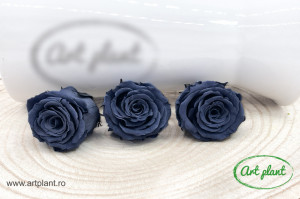 Mini Roze Warmi Gri Gry01 - Img 3