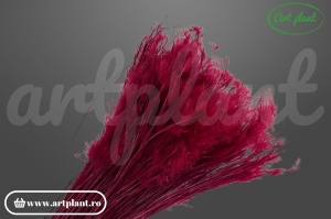 Pampas pluminha bordo (G)
