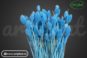 Talaris blue azur