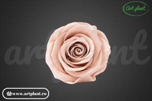 Trandafir criogenat Antique Pink L