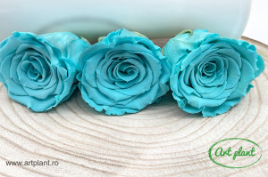 Trandafir Criogenat L Turquoise Blu02 - Img 3