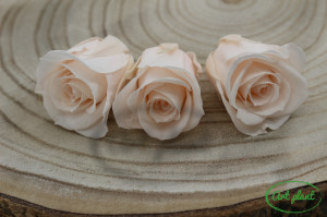 Trandafir criogenat Pink Blush M