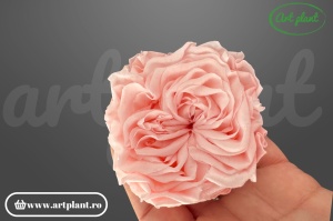 Cap de trandafir criogenat roz deschis 100% natural, Romantic Shape, Ø 6–6.5 cm, decor interior elegant, aranjament floral