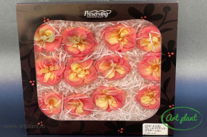 Trandafir criogenat salbatic gelato pink - Img 3