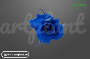 Trandafir criogenat mini albastru regal 1 bucată floare naturală conservată Ecuador Art Plant