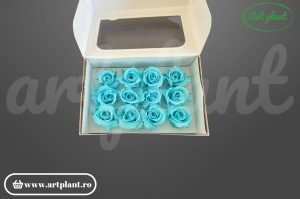 Trandafiri Criogenati Mini Cyan din Ecuador, 3-5 cm , inaltime 3-4 cm, 12 buc