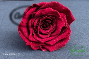 Trandafiri Criogenati XL Rosu cu sclipici Red01