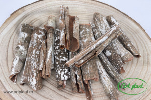 Bete decorative albite 10 cm