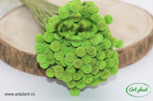 Botao criogenat verde deschis