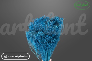 Broom uscat azzuro închis - buchet decorativ natural