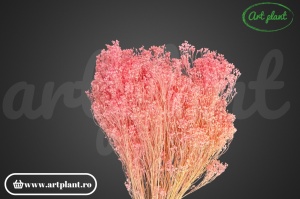 Broom Light Pink Candy - Img 2