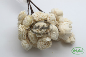 Buchet Ming Natur
