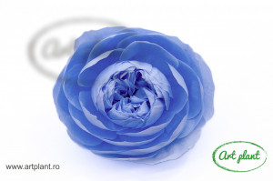 Bujori Criogenați XXL Violet Vio89