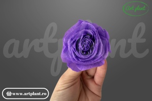Buttercup Stabilizat Mov