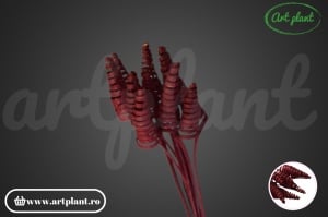 Cane cone mini bordo