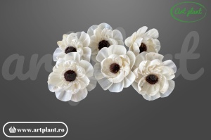 Cap anemonă sola dublă 10 cm cu petale pe două niveluri și centru brun, floare decorativă din lemn de sola