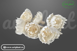 Cap bujor sola 8 cm cu petale dense stratificate, floare decorativă albă din lemn de sola