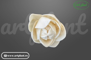 Cap camelie sola 6 cm cu petale simetrice în spirală, floare decorativă elegantă din lemn de sola