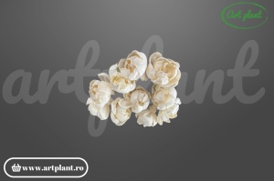 Cap camelie sola 6 cm cu petale simetrice în spirală, floare decorativă elegantă din lemn de sola