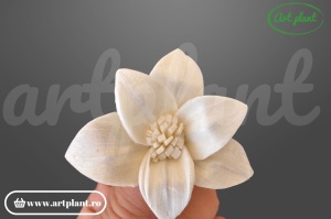 Capete crin star gazer sola 4 cm