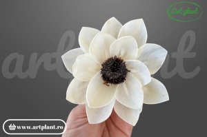 Capete eva sola 10cm