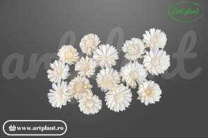 Cap floarea soarelui sola 4 cm cu petale alungite și centru brun, floare decorativă din lemn de sola