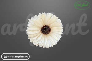 Cap floarea soarelui titonia sola 10 cm cu petale rotunjite compacte, floare decorativă din lemn de sola
