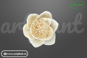 Capete lotus sola6 cm