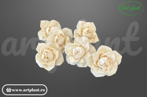 Cap magnolie sola 8 cm cu petale mari în cupă deschisă, floare decorativă elegantă din lemn de sola