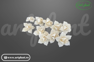 Cap magnolie stelată sola 6 cm cu petale alungite în formă de stea, floare decorativă din lemn de sola