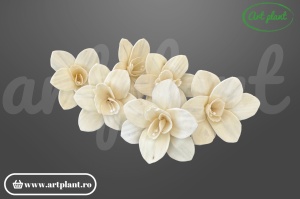 Cap orhidee pollen sola 8 cm cu centru pollen distinct, floare decorativă premium din lemn de sola