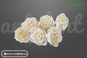 Cap trandafir sola deschis 8 cm cu petale larg desfăcute, floare decorativă albă din lemn de sola