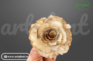 Capete trandafir sola rustic / vintage 8cm