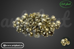 Chiruni champagne