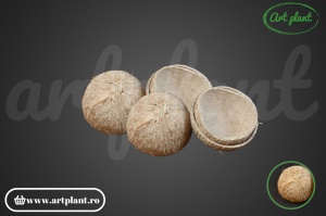 Coajă de nucă de cocos albită