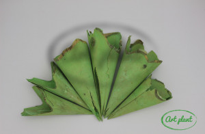Conuri din lemn verde deschis, 6 buc
