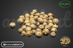 Estrelină aurie