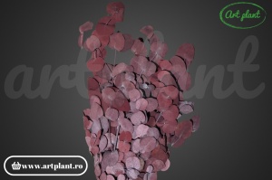 Eucalipt Silver Drop Burgundy - Img 3