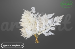 Ferigă Leather Albă